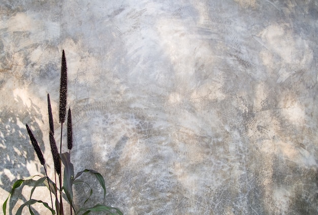Zdjęcie pręt ozdobny z betonową ścianą
