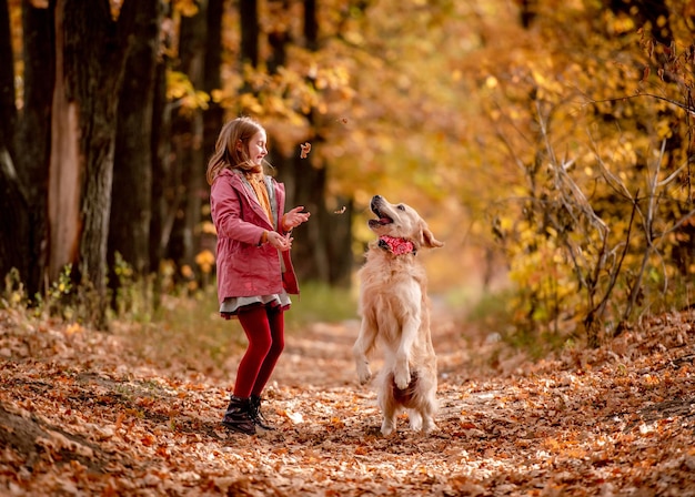 Preteen dzieciak i pies golden retriever