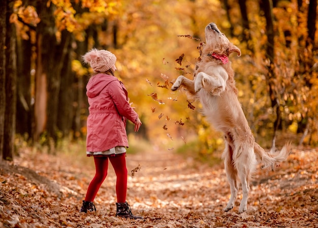 Preteen dzieciak i pies golden retriever