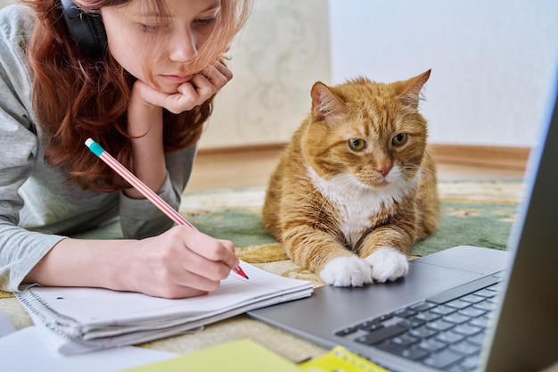 Preteen dziewczyna studiuje w domu z imbirowym kotem używa laptop