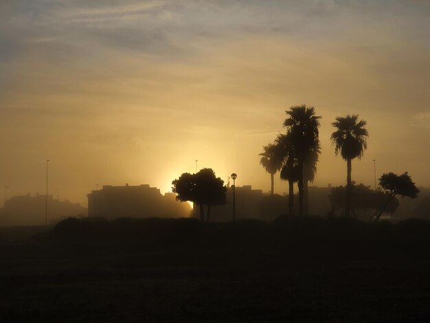 Primeros rayos de sol al amanecer en un día con niebla