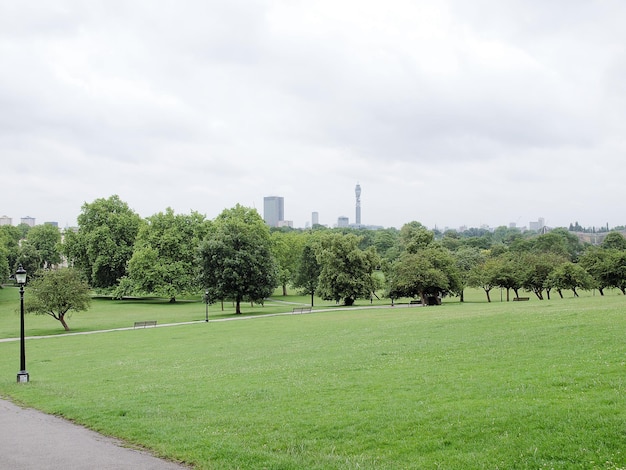 Primrose Hill Londyn