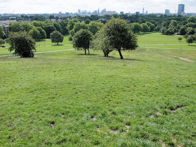 Primrose Hill Londyn