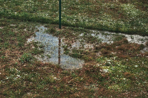 Problemy z odprowadzaniem wody deszczowej i ściekami Hydrofobowa i sucha gleba ledwo wchłania wodę Stojąca woda na podwórku