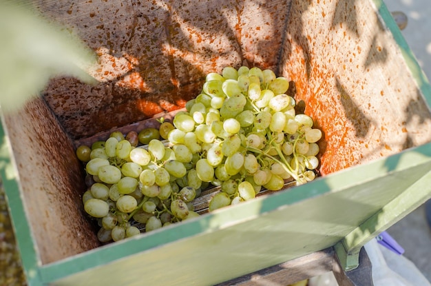 Proces winiarski Kruszarka do rozdrabniania winogron w domu
