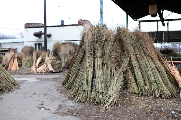 Produkcja mebli z winorośli Fabryka tworzenia mebli naturalnych Produkcja ręczna