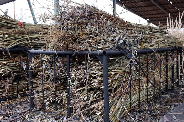 Produkcja mebli z winorośli Fabryka tworzenia mebli naturalnych Ręczna produkcja