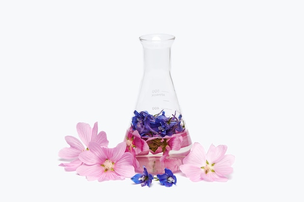 Produkcja naturalnych kosmetyków kwiatowych, ekstrakt z płatków w butelce chemicznej.