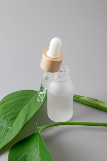 Produkt kosmetyczny do pielęgnacji twarzy Serum w szklanej butelce z pipetą Olejek eteryczny do pielęgnacji kobiecej skóry Pielęgnacja skóry nawilżający produkt upiększający na szarym tle