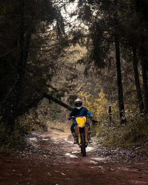 Profesjonalny motocyklista po lesie przejeżdża przez błotnistą drogę przyrodniczą