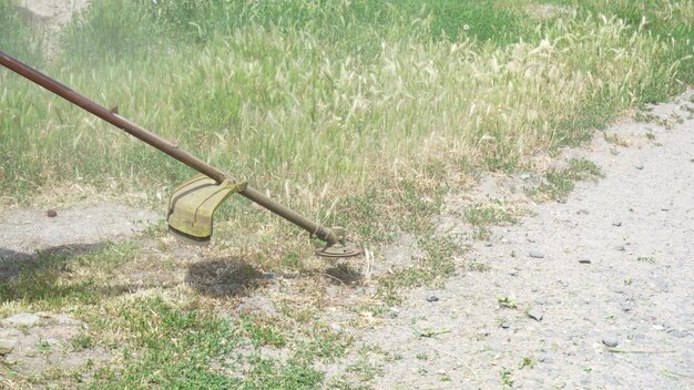 Profesjonalny ogrodnik kosi trawnik w Central Parku za pomocą spalinowych nożyc do żywopłotu Koszenie trawnika Kosiarka kosi suchą trawę za pomocą kosiarki