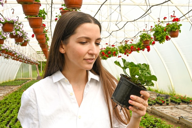 Profesjonalny ogrodnik produkujący kwiaty w szklarni piękna młoda kobieta w fartuchu trzymająca doniczkę