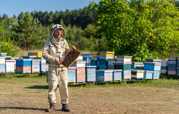 Profesjonalny pszczelarz z drewnianą ramą pracującą Organiczna produkcja miodu w pasiece