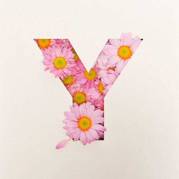 Projekt Czcionki, Abstrakcyjna Czcionka Alfabetu Z Różowym Kwiatkiem, Realistyczna Typografia Kwiatowa - Y