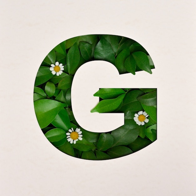 Zdjęcie projekt czcionki, czcionka abstrakcyjna alfabetu z liśćmi i kwiatem, realistyczna typografia liści - g.