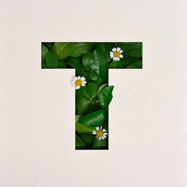 Zdjęcie projekt czcionki, czcionka abstrakcyjna alfabetu z liśćmi i kwiatem, realistyczna typografia liści - t