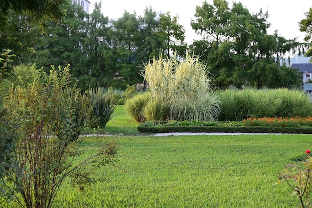 Projekt krajobrazu w zielonym ogrodzie panoramiczny widok ładnego ogrodzonego dziedzińca domu mieszkalnego Rośliny na ścieżce i starożytna latarnia na podwórku domu piękne ogrodzenie w lecie