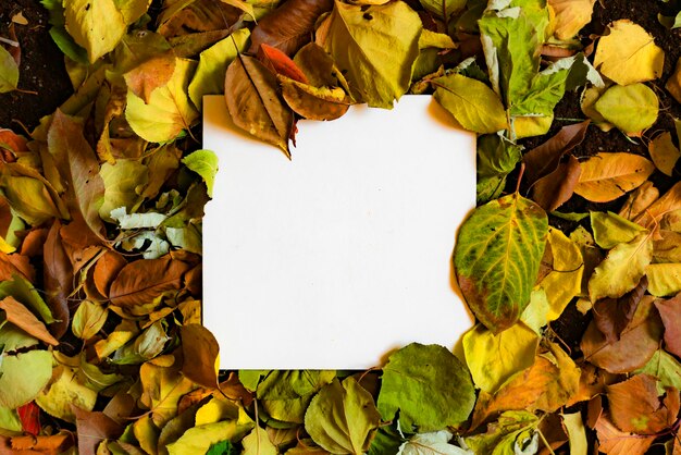 Projekt makiety miejsca kopiowania z jesiennymi liśćmi dla twojego tekstu