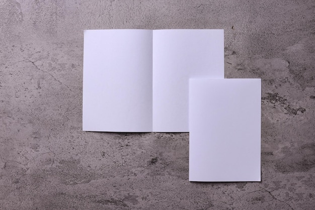 Projekt tożsamości, szablony korporacyjne, styl firmy, zestaw broszur, pusta biała ulotka składana
