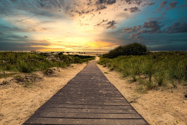 Promenada na plaży otoczona zielenią pod zachodem słońca w Borkum, Niemcy