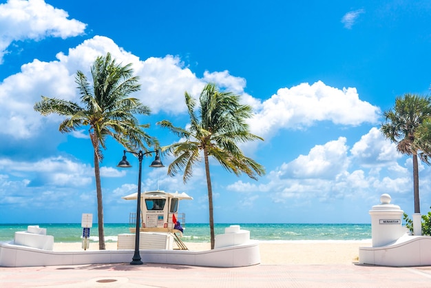 Promenada nad morzem z palmami w słoneczny dzień w Fort Lauderdale