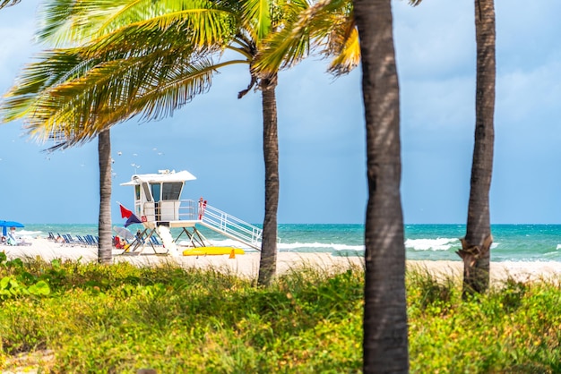 Promenada nadmorska z palmami w słoneczny dzień w Fort Lauderdale