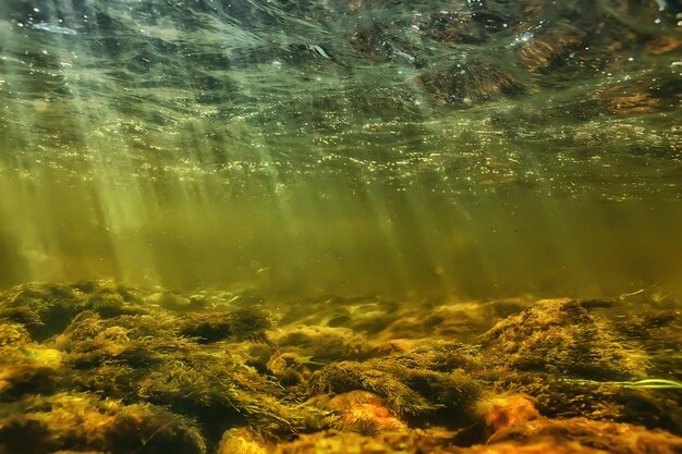 promienie słoneczne pod wodą krajobraz, seascape nurkowanie w rzece słodkowodnej