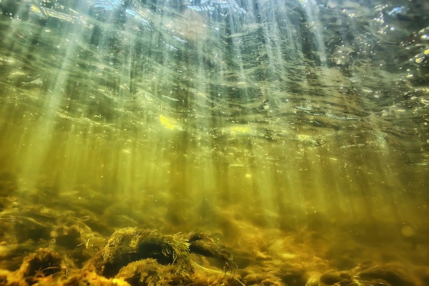 promienie słoneczne pod wodą krajobraz, seascape nurkowanie w rzece słodkowodnej