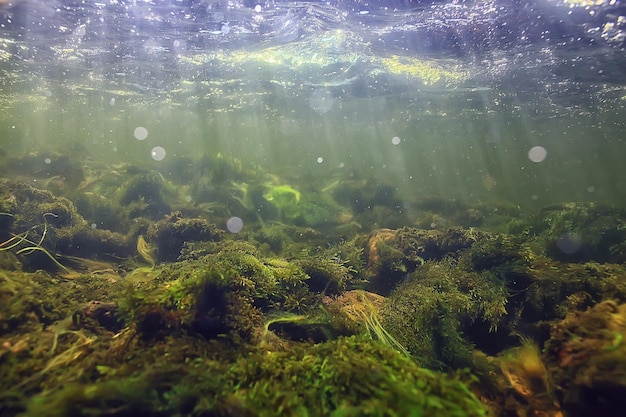 Zdjęcie promienie słoneczne pod wodą krajobraz, seascape nurkowanie w rzece słodkowodnej