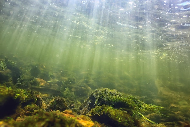 promienie słoneczne pod wodą krajobraz, seascape nurkowanie w rzece słodkowodnej