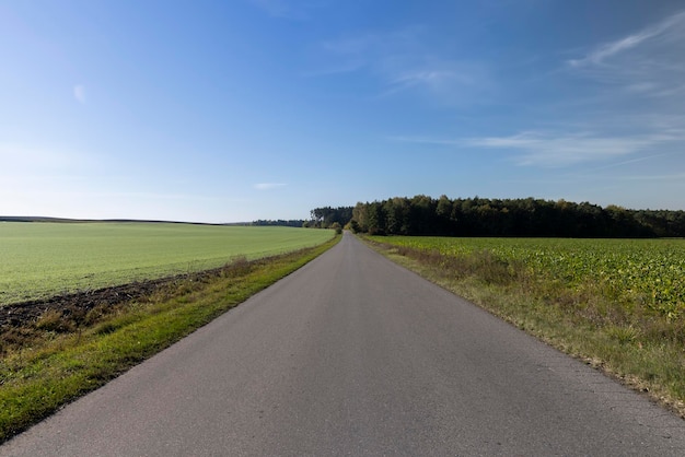 Prosta autostrada bez samochodów