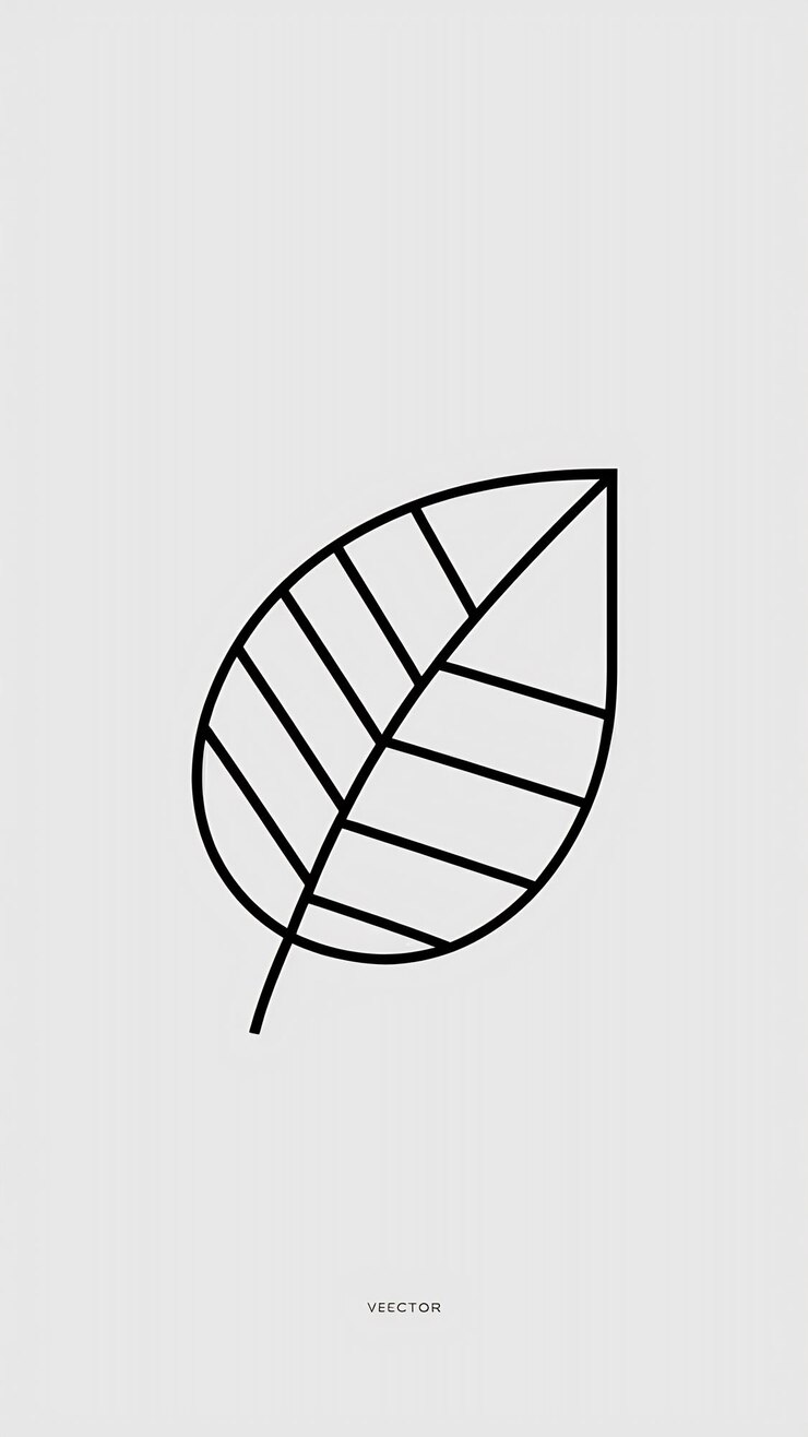 Zdjęcie proste, liniowe logo z ikonami i znakami wektorowymi