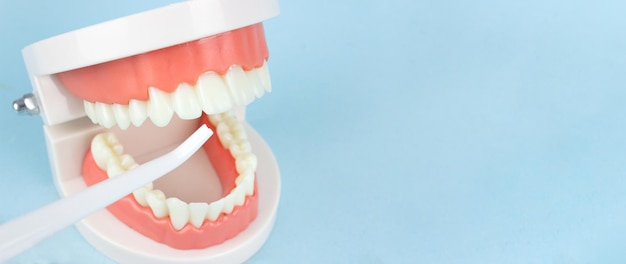 Protezy Model zębów dentystycznych z irygatorem jamy ustnej, który czyści zęby Kompletna proteza lub pełna proteza na niebieskim tle