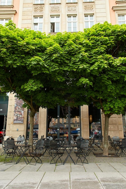 Prywatna restauracja w centrum miasta Stoły ustawiono pod zadbanymi, przystrzyżonymi drzewami