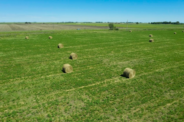 Przechowywanie trawy w belach na wsi La Pampa w Patagonii w Argentynie