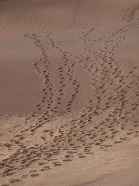 Przed zachodem słońca w Parku Narodowym Great Sand Dunes w stanie Kolorado.