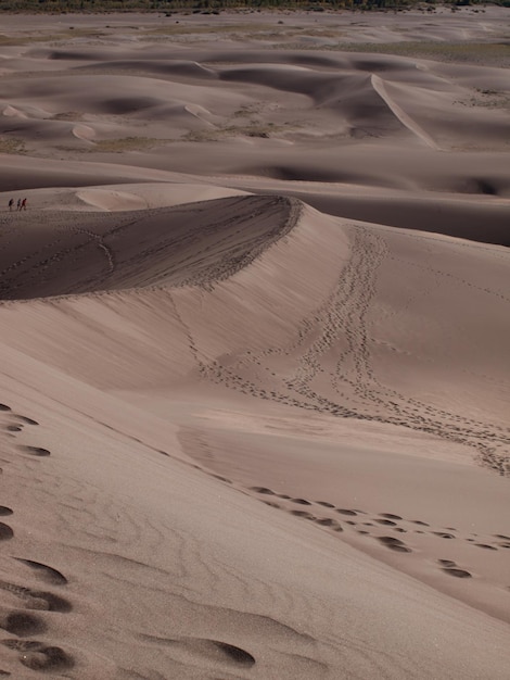 Przed zachodem słońca w Parku Narodowym Great Sand Dunes w stanie Kolorado.