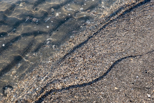 Przegrzebki piasku pod przezroczystą morską wodą na plaży