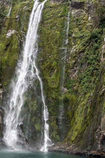 Przejażdżka dużym katamaranem obok Mitre Peak i wielu wodospadów przez Milford Sound