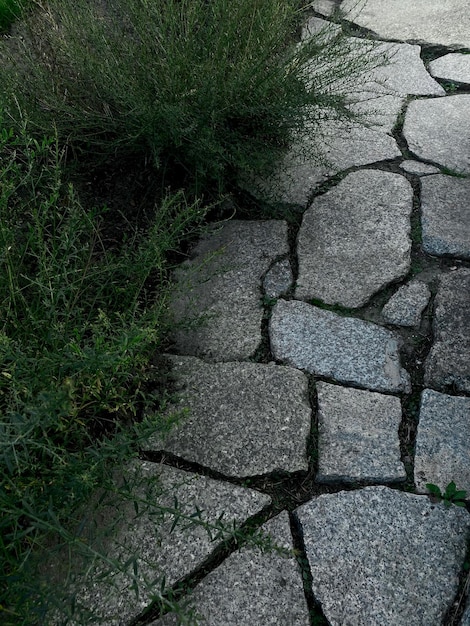 Przejście od zielonych krzewów do kamiennych płyt chodnikowych