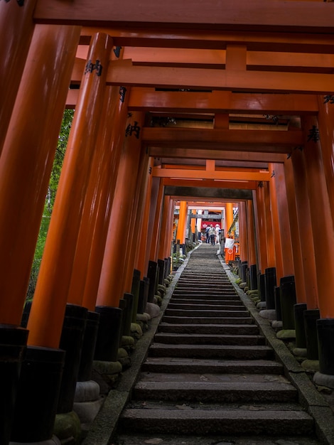 Zdjęcie przejście w świątyni fushimi inari