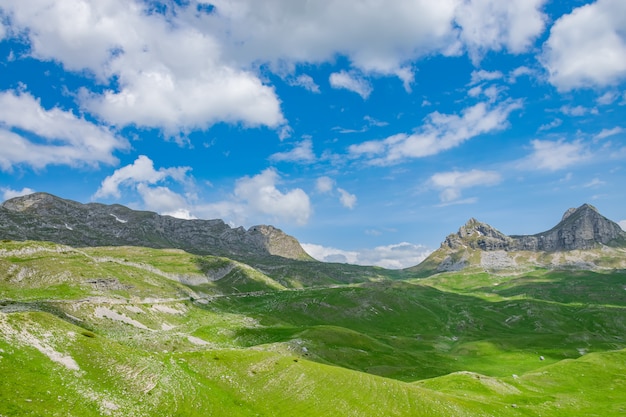 Przełęcz Sedlo znajduje się na północy Czarnogóry.