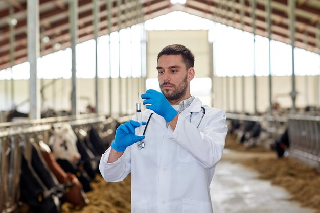 Zdjęcie przemysł rolniczy, rolnictwo, medycyna, szczepienia zwierząt i ludzie koncepcja - weterynarz lub lekarz z strzykawką szczepiący krowy w stodołach na farmie mlecznej
