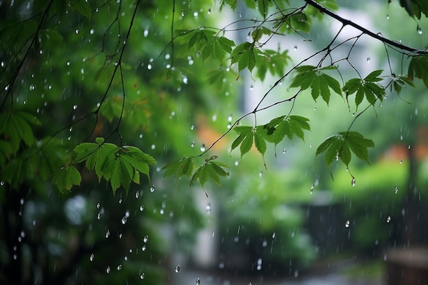 Przesiąknięte deszczem zielone drzewo ze świeżymi kroplami Generacyjna sztuczna inteligencja