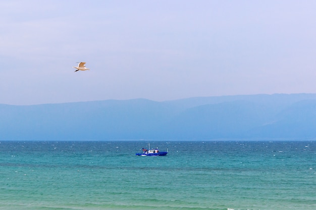 Przewieziony statek i frajer na jeziornym Baikal