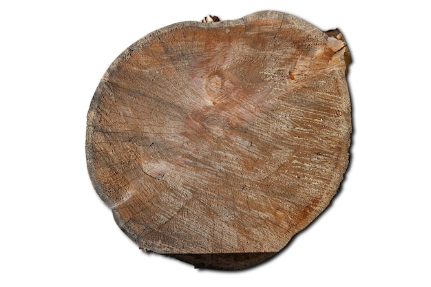 Zdjęcie przeznaczone do walki radioelektronicznej na kłodzie drzewa w postaci okrągłego drewna z pierścieniami zarejestruj materiał budowlany do budowy na białym tle odizolowane