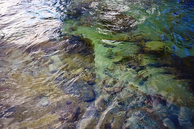 Zdjęcie przezroczysta woda kamienie dolna tekstura, abstrakcyjna aqua tło natura