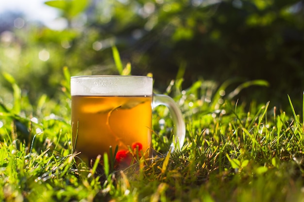 Przezroczysty kubek ze świeżą gorącą czarną herbatą jagodową i porzeczką Ożywczy napój wczesnym rankiem na łonie natury z promieniami ciepłego słońca