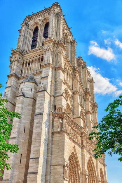 Przód katedry Notre Dame de Paris najpiękniejsza katedra w Paryżu we Francji