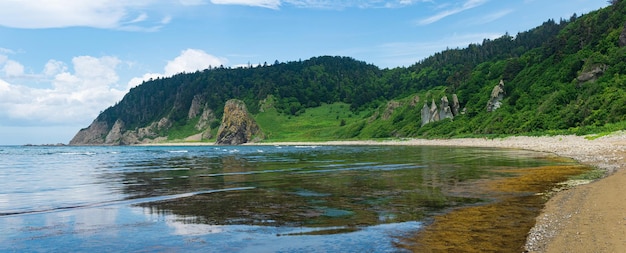 Przybrzeżny krajobraz skaliste zielone wybrzeże wyspy Kunashir piaszczysta plaża z algami na litoralu podczas odpływu na pierwszym planie